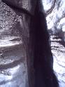 DSC00637f