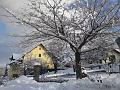 DSC01230